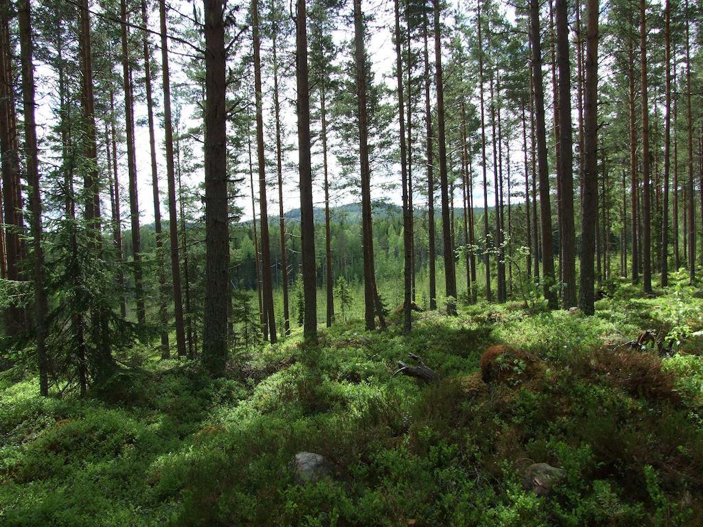 Hovra Vandrarhem Håvra Exteriér fotografie