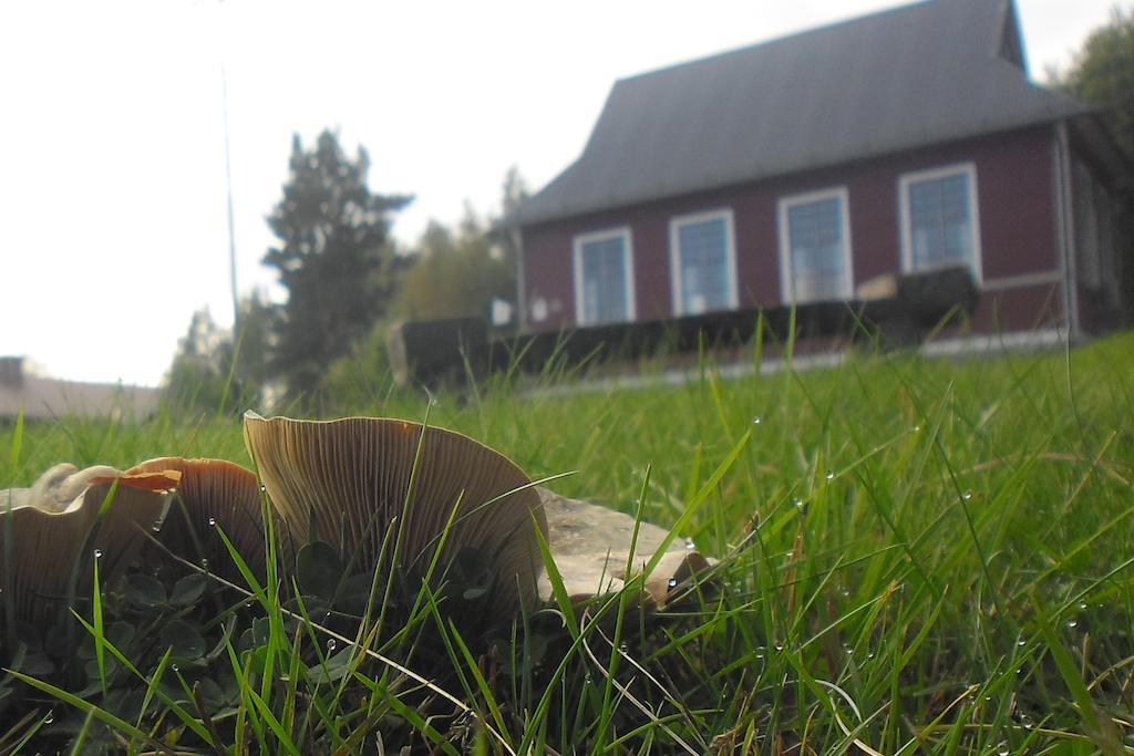 Hovra Vandrarhem Håvra Exteriér fotografie